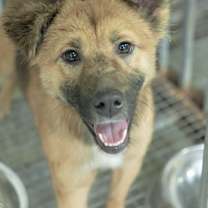 Thumbnail photo of Bravo #2