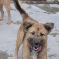 Thumbnail photo of Bravo #4