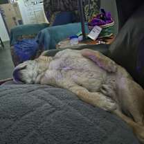 Thumbnail photo of Wendell #4