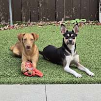 Thumbnail photo of Olivia #3