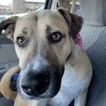 Thumbnail photo of Nikita #2