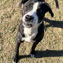 Thumbnail photo of TRINITY/URGENT #2