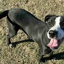 Thumbnail photo of TRINITY/URGENT #4