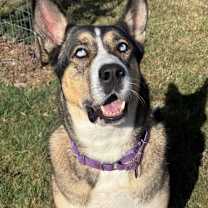 Thumbnail photo of Esko #1