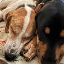 Thumbnail photo of Jack #4