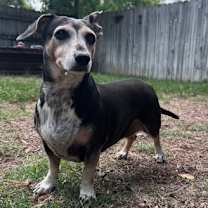 Thumbnail photo of Brin Joy #4