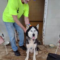 Thumbnail photo of Nuka #3