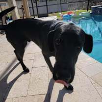 Thumbnail photo of Itachi #1