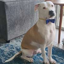 Thumbnail photo of Clayton #3