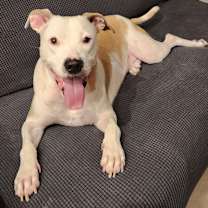 Thumbnail photo of Clayton #1