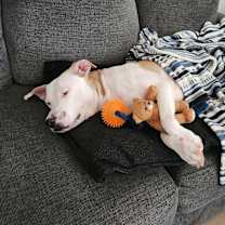 Thumbnail photo of Clayton #2