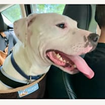 Thumbnail photo of Pan (Japan) #4