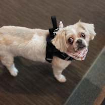 Thumbnail photo of Chloe - OS #1