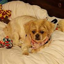 Thumbnail photo of Chloe - OS #2