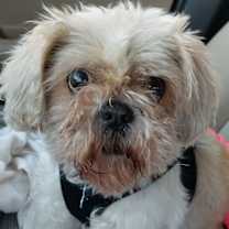 Thumbnail photo of Chloe - OS #4