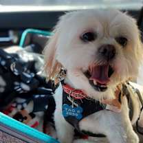 Thumbnail photo of Fiona-ARR #1