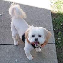 Thumbnail photo of Fiona-ARR #2