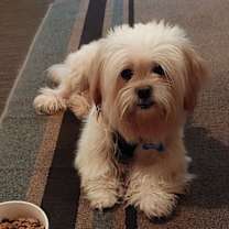 Thumbnail photo of Fiona-ARR #3