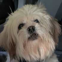 Thumbnail photo of Fiona-ARR #4