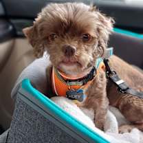 Thumbnail photo of Huey-OS #3