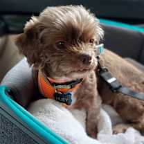 Thumbnail photo of Huey-OS #4