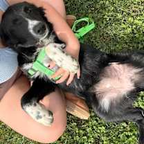 Thumbnail photo of Livvy (Baby) #3