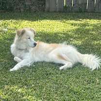 Thumbnail photo of Elsa #1