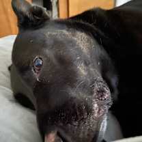 Thumbnail photo of Zeus #2