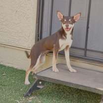 Thumbnail photo of Sterling #3