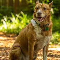 Thumbnail photo of Zoomer (I Have a Secret Crush!) #4