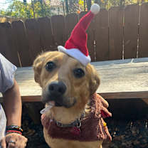 Thumbnail photo of Pop Rocks #4