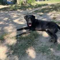 Thumbnail photo of Knight #3