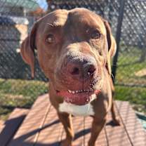 Thumbnail photo of Ed #2