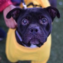 Thumbnail photo of Gillian #2