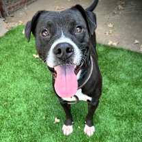 Thumbnail photo of Luca #1