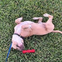 Thumbnail photo of Bruce #4