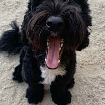 Thumbnail photo of George #1