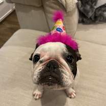 Thumbnail photo of Bailey #2