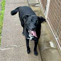 Thumbnail photo of Zari #3