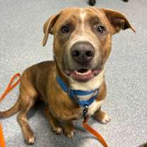 Thumbnail photo of Smirk #2