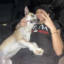 Thumbnail photo of Milo #1