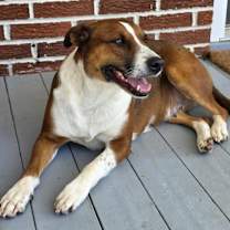 Thumbnail photo of Louise #1