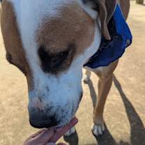 Thumbnail photo of Agustus #3