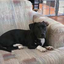 Thumbnail photo of Louise #1