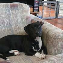 Thumbnail photo of Louise #4