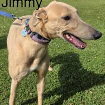 Thumbnail photo of Jimmy (Jimmy Bale) #2