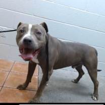 Thumbnail photo of Steven #1