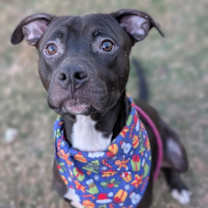 Thumbnail photo of Riker #1