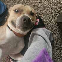 Thumbnail photo of Cali #2