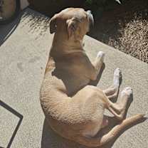 Thumbnail photo of Cali #3